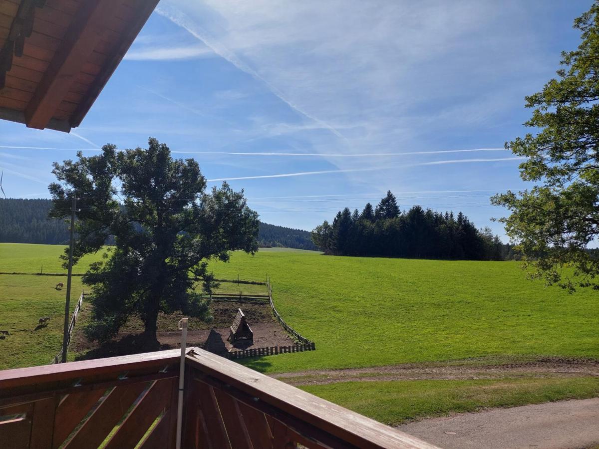 Urlaub An Der Grenze Appartement Lauterbach  Buitenkant foto