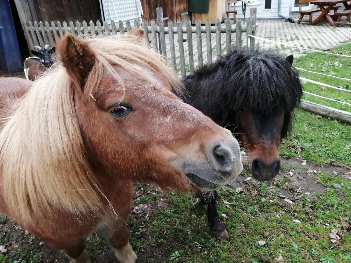 Urlaub An Der Grenze Appartement Lauterbach  Buitenkant foto