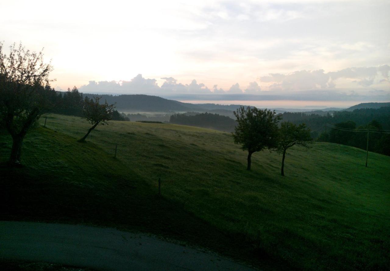 Urlaub An Der Grenze Appartement Lauterbach  Buitenkant foto