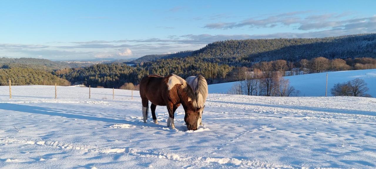 Urlaub An Der Grenze Appartement Lauterbach  Buitenkant foto